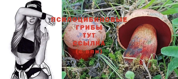 ешки Пролетарск