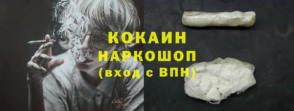 мет Грязовец