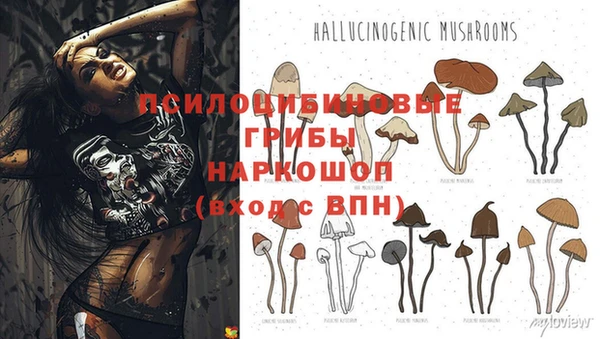 дмт Покачи