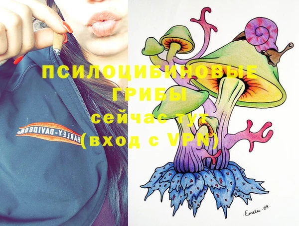 ешки Пролетарск