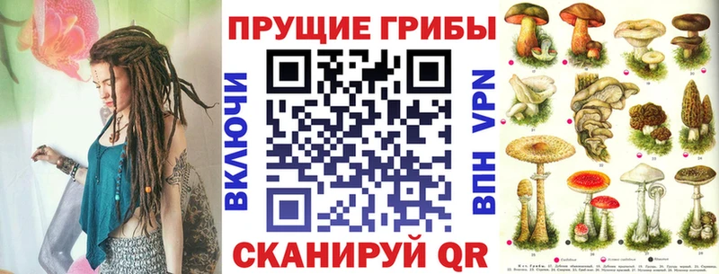 Псилоцибиновые грибы Psilocybine cubensis  купить наркотик  shop официальный сайт  Ялуторовск 