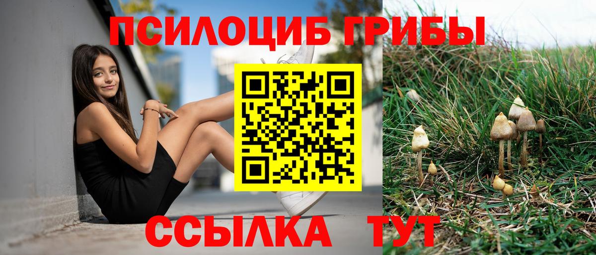 Ялуторовск  Галлюциногенные грибы прущие грибы  Вход с VPN  Галлюциногенные грибы Magic Shrooms 